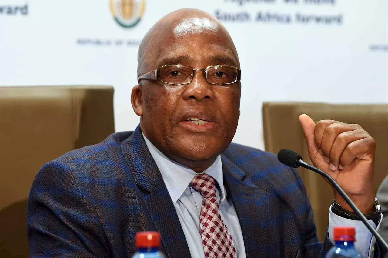 SCA grants Motsoaledi leave to appeal ZEP matter