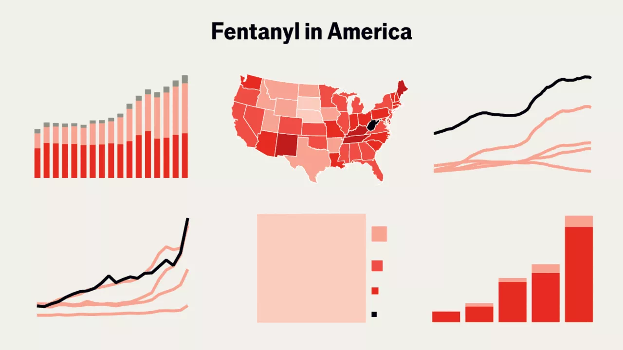 America’s fentanyl epidemic, explained in six charts