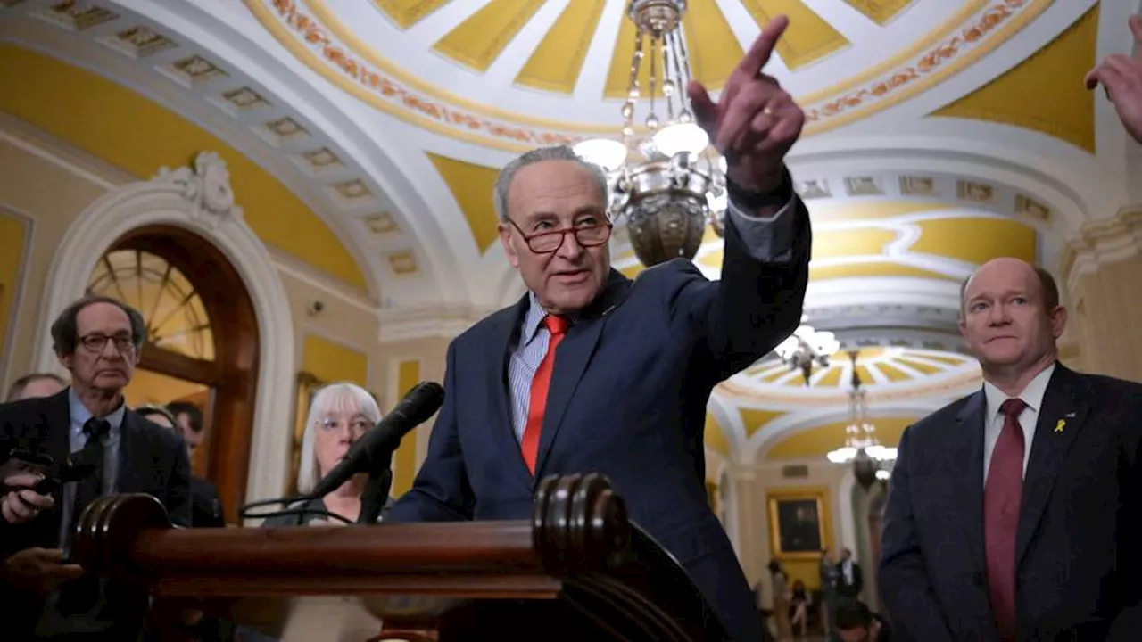 Chuck Schumer seeks Netanyahu's ouster, says Israeli hawk 'lost his way'