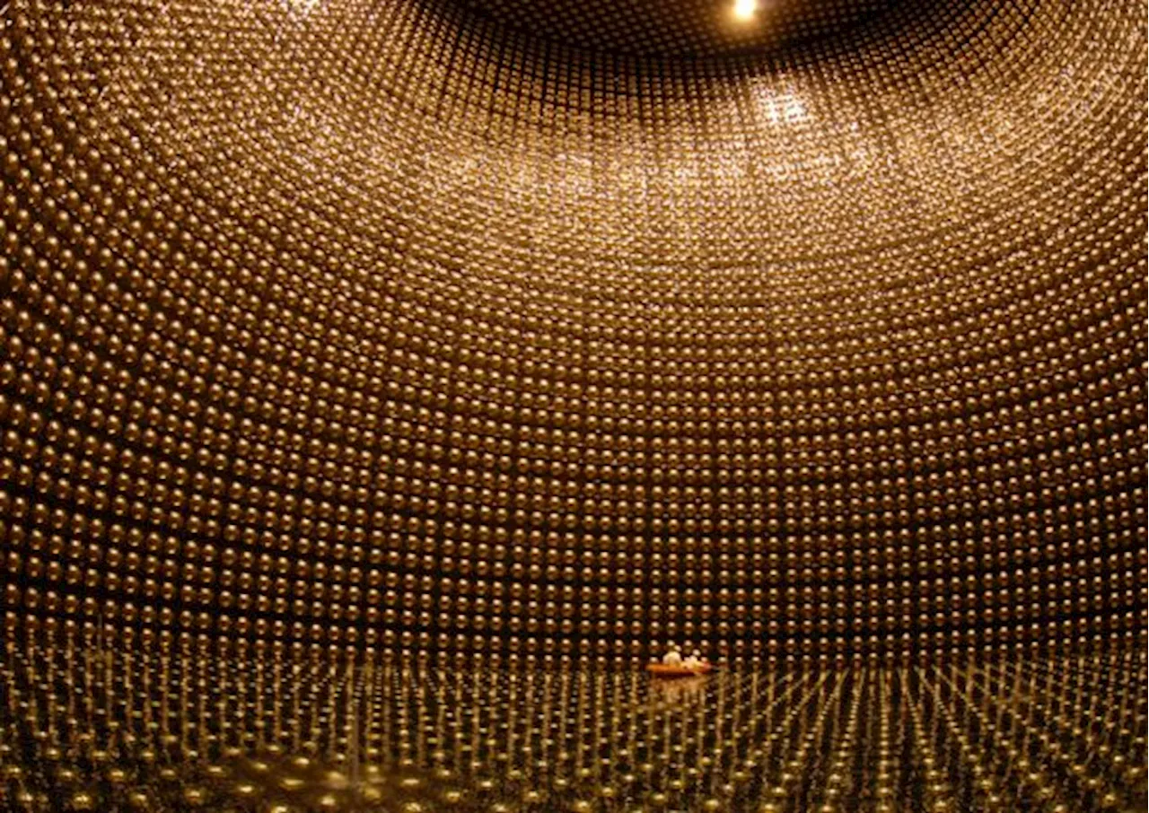 The Cosmic Neutrino Background Would Tell Us Plenty About the Universe