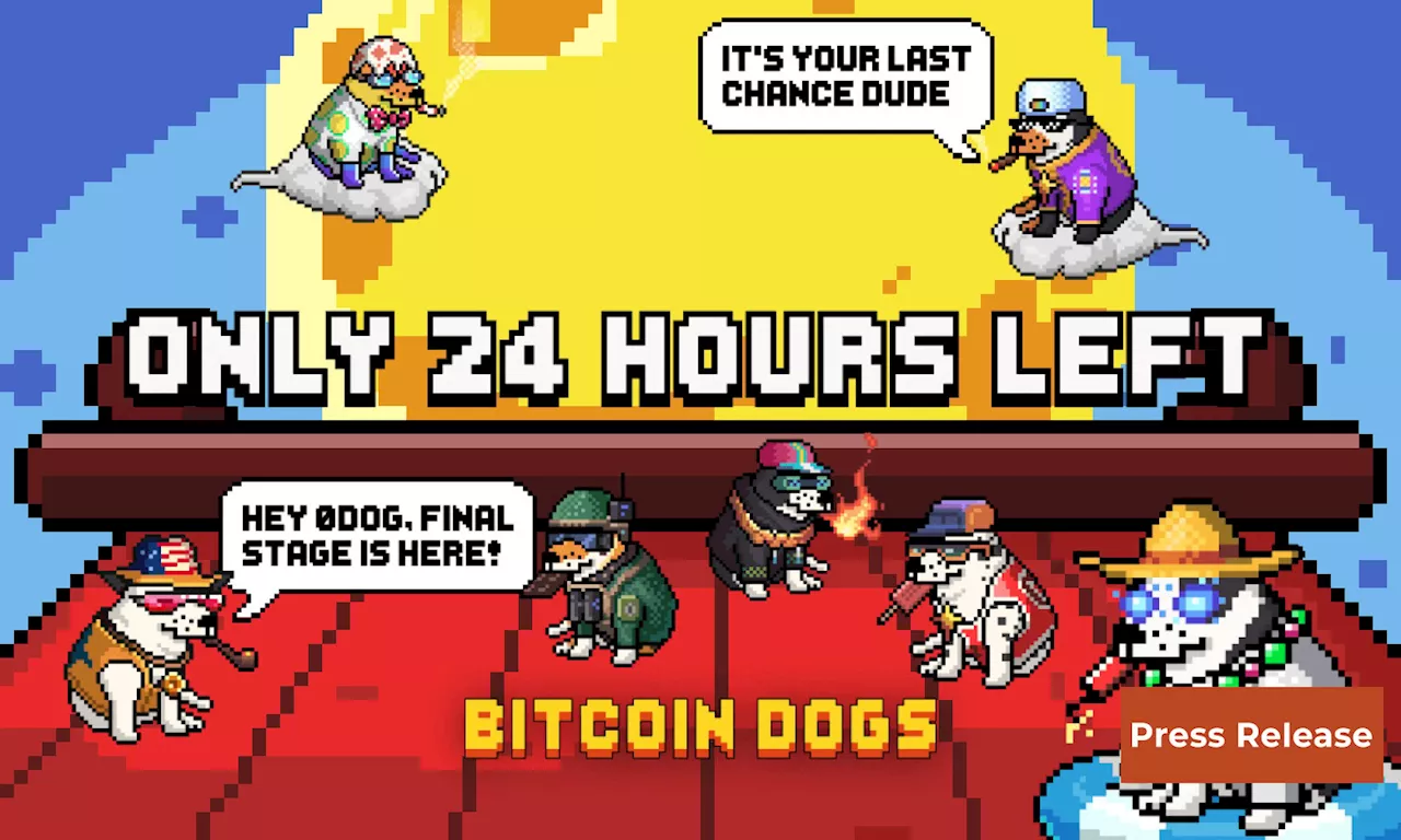 Bitcoin Dogs Raises Over $11.5 Million and Enters Final 24 Hours