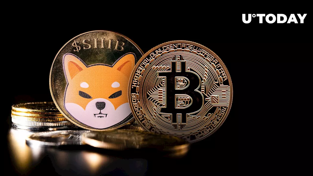 BTC and SHIB Score Mention on Popular US TV Show