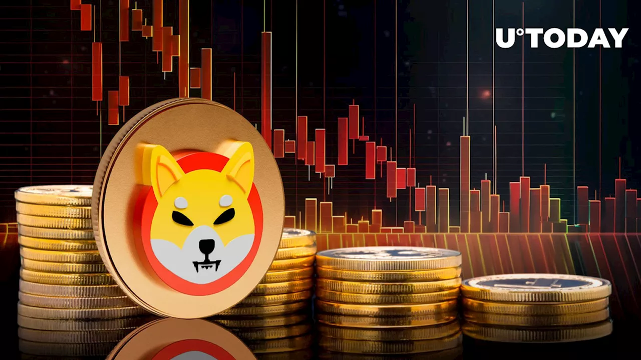 Shiba Inu (SHIB) Slides Below $0.00003, Has Meme Coin Bubble Burst?