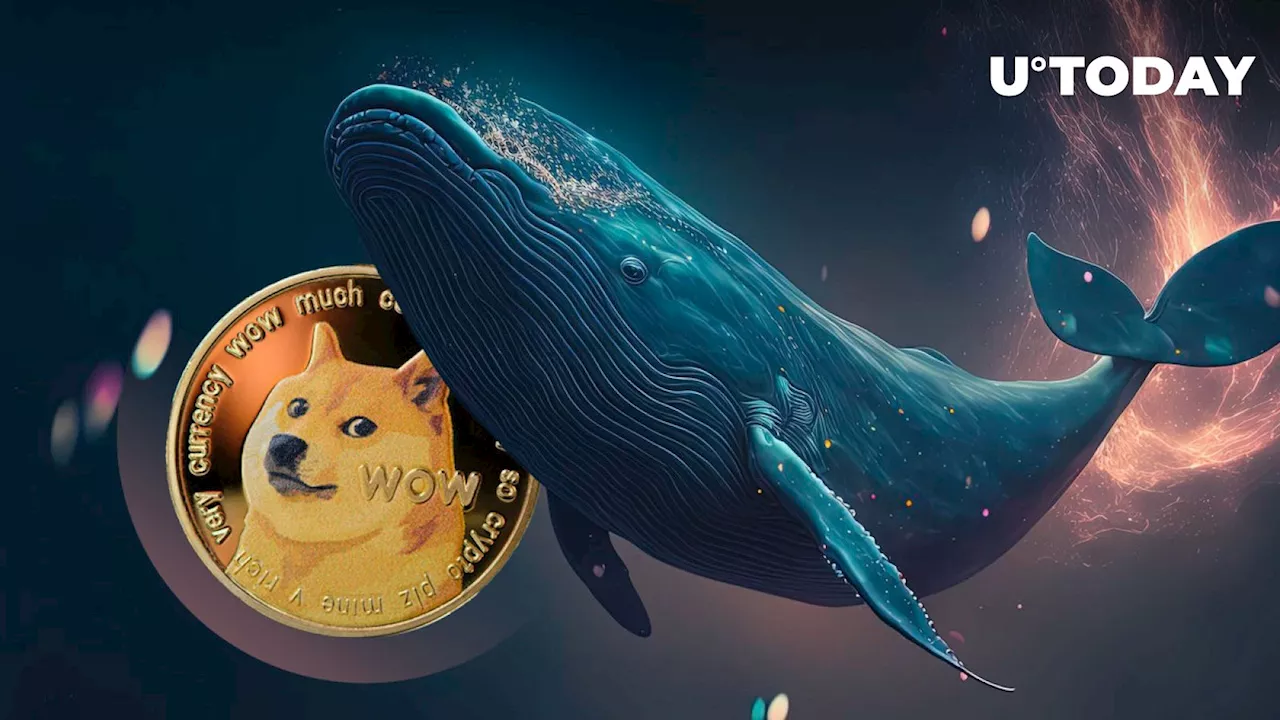 Whale Suddenly Unloads 86 Million DOGE, Sending Dogecoin Price into Freefall