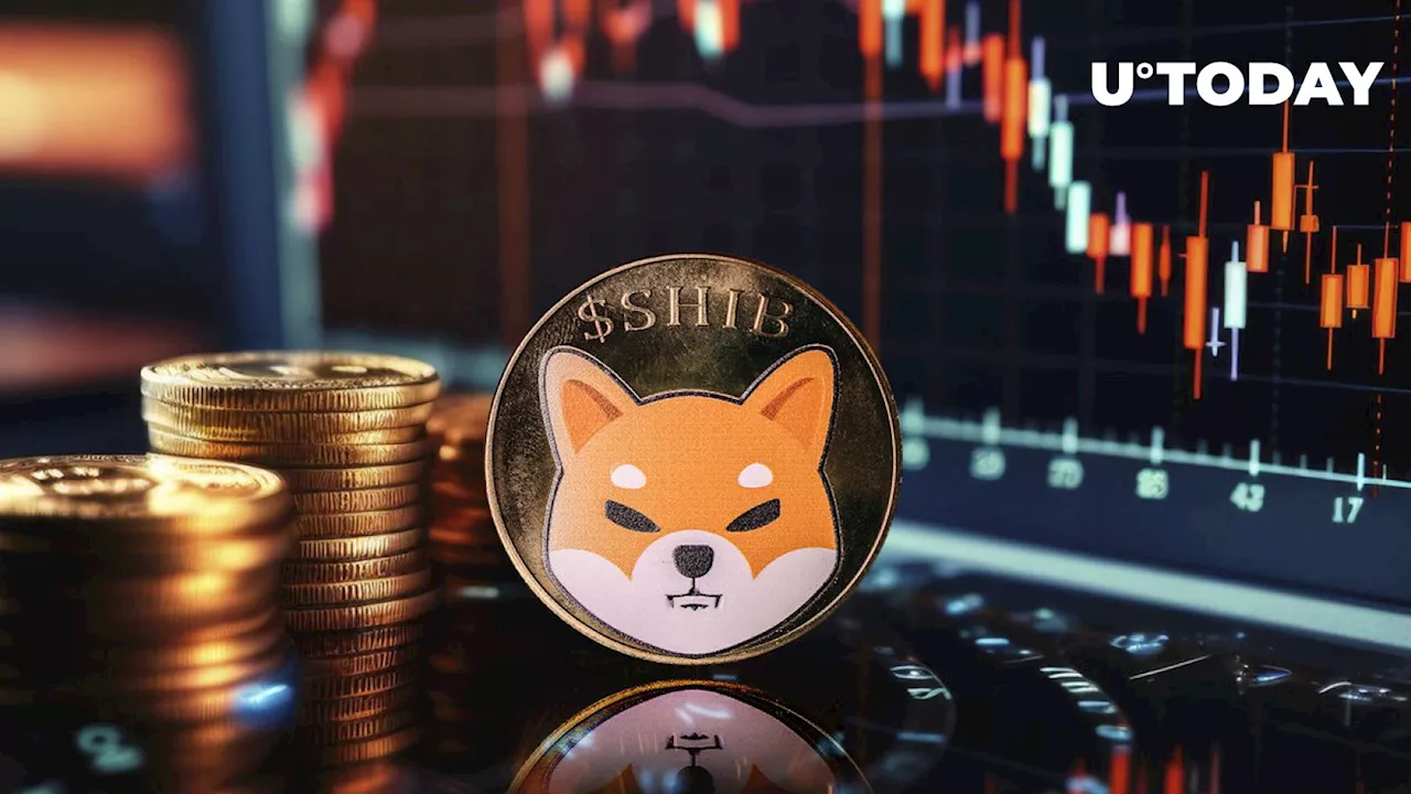 What's Behind SHIB's 13% Sudden Dip? On-chain Data Reveals Key Reason Why