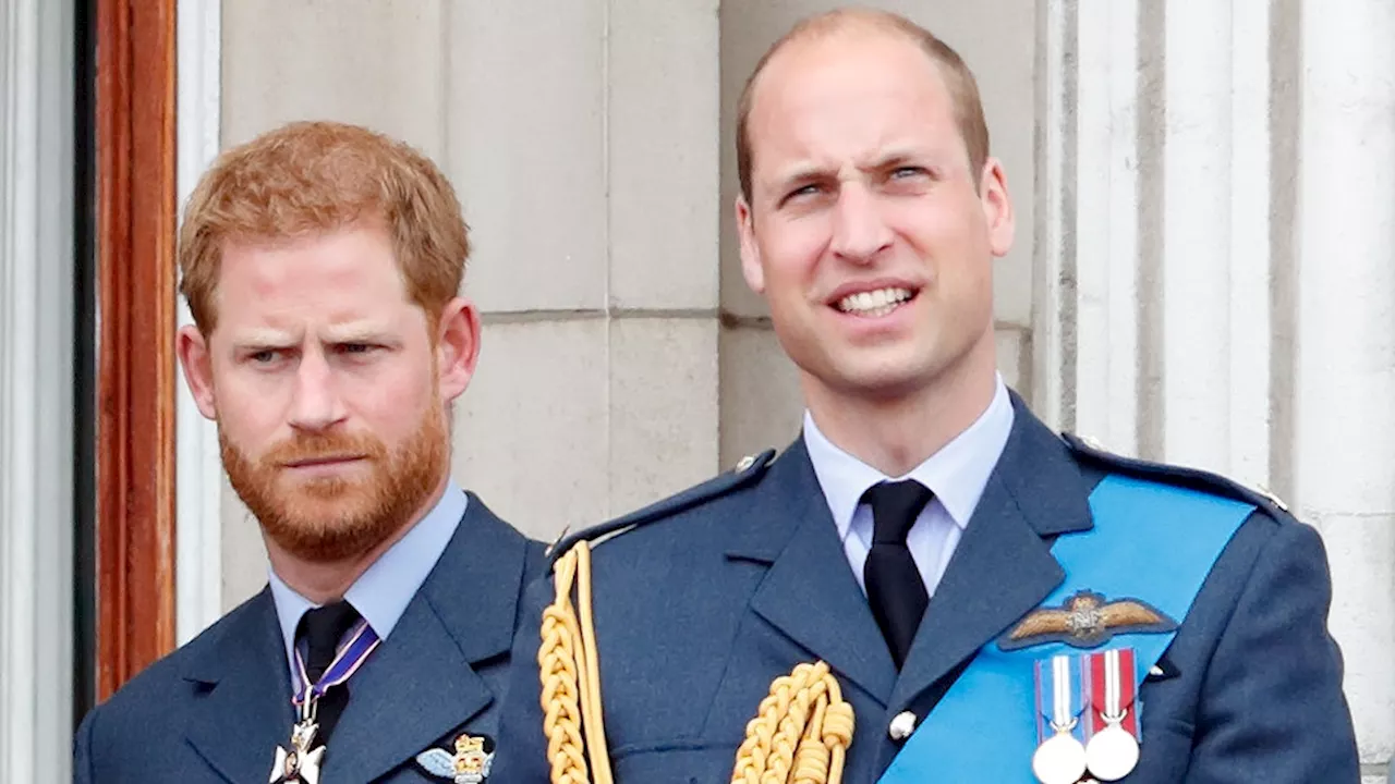 Lady Diana : les princes Harry et William séparés même lors de l'hommage à leur mère