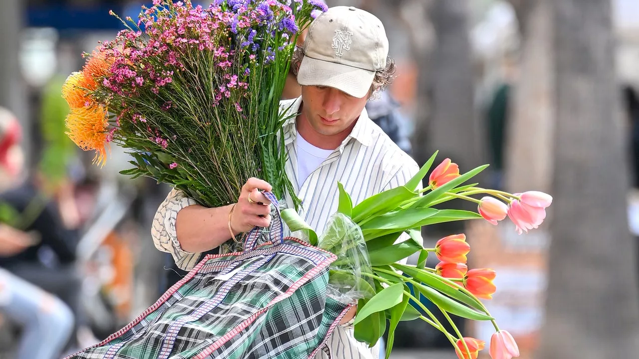 Yes, Jeremy Allen White Buying Flowers Is Hot – But Not For The Reason Everyone Thinks