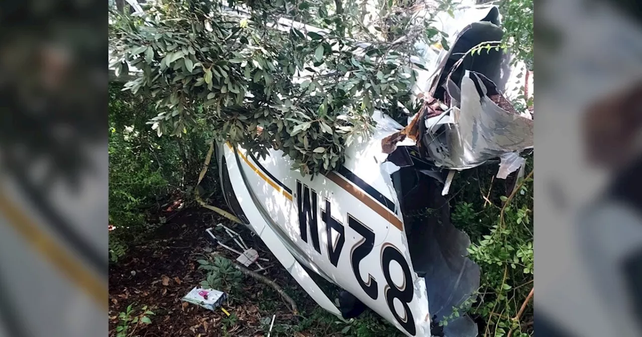 Parents, 2-year-old daughter escape plane crash using parachute