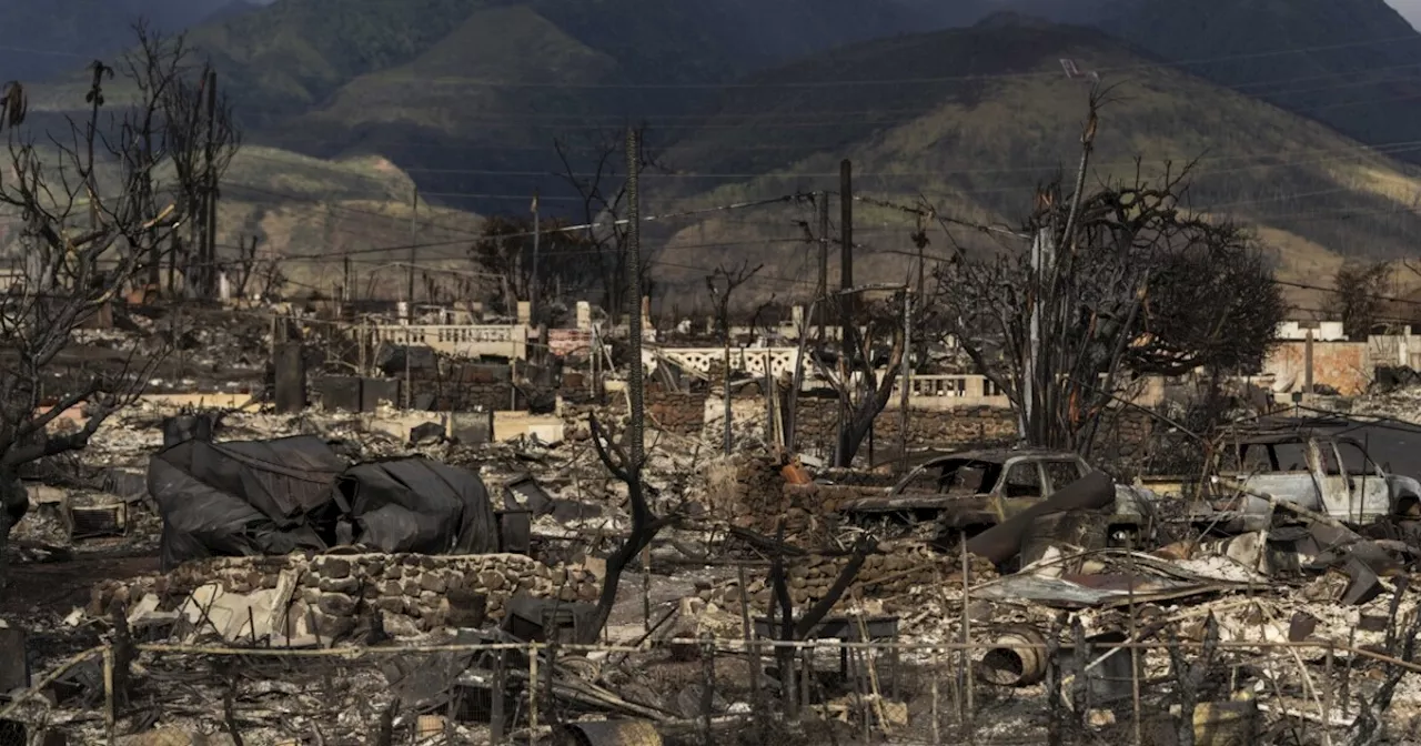 Senate hearings examine response to increasing wildfire threat