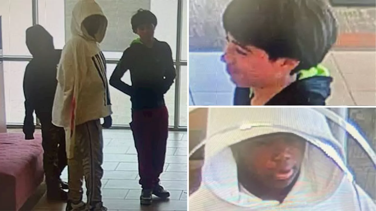 FBI Houston looking for 'little rascals' accused of robbing Greenspoint-area Wells Fargo bank