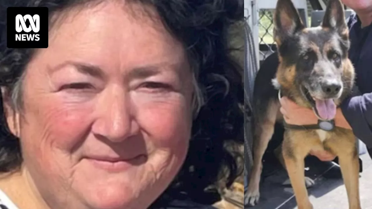 Coroner recommends Victoria Police train body detection dogs after search delays for Colleen South