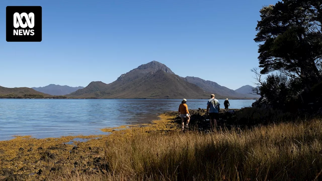 Tasmania trades on its environment, so what are the major parties promising at the state election?