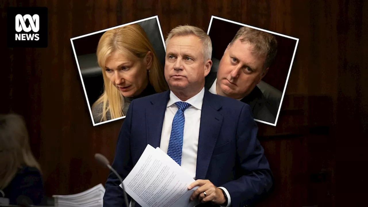 Tasmanian Liberals look to implement 'stability clause' to prevent party defections to crossbench