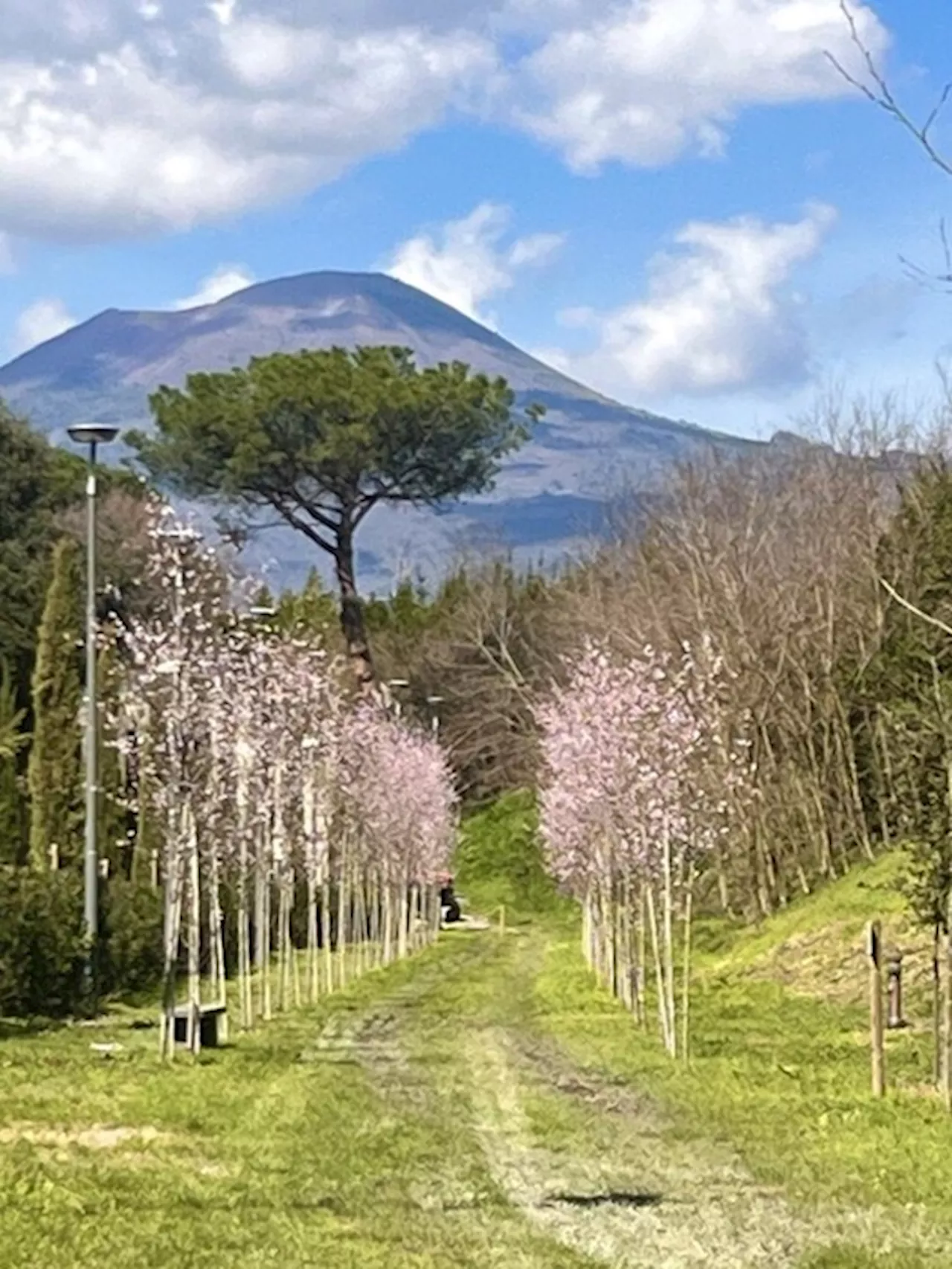 Pompei, un percorso nel verde intorno al parco archeologico