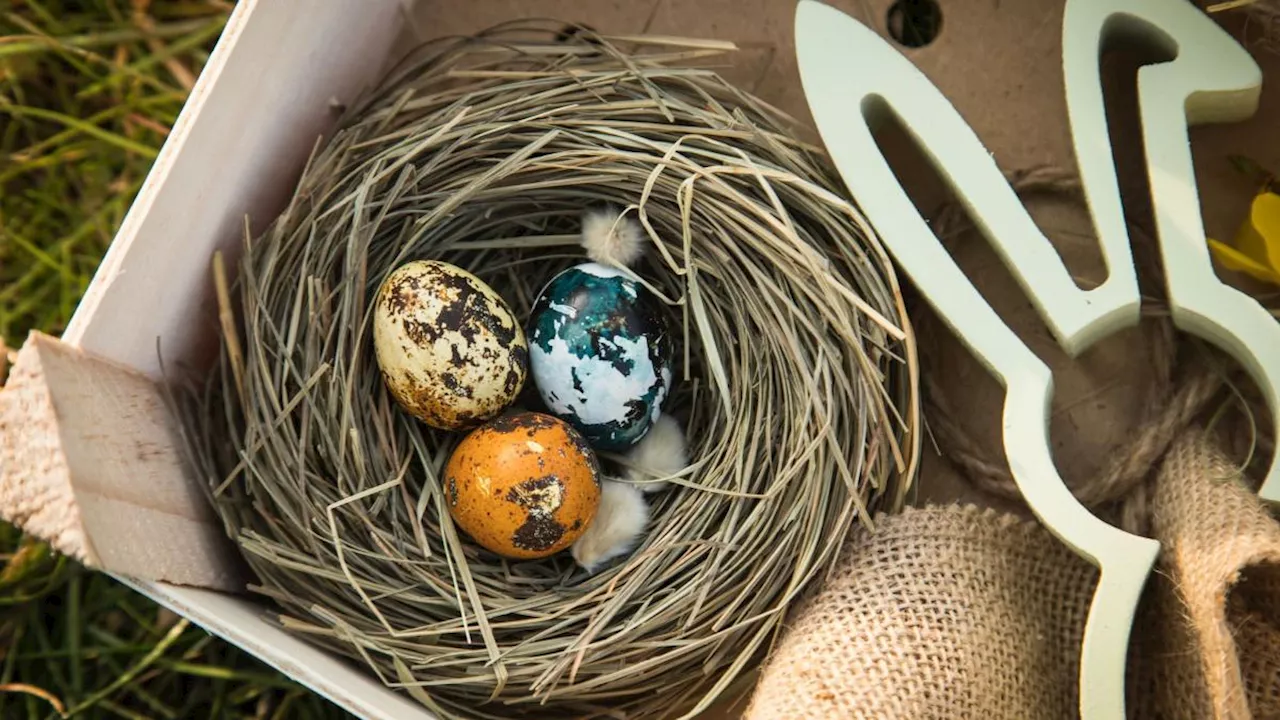 DIY-Deko: Osternest aus Naturmaterialien selber basteln