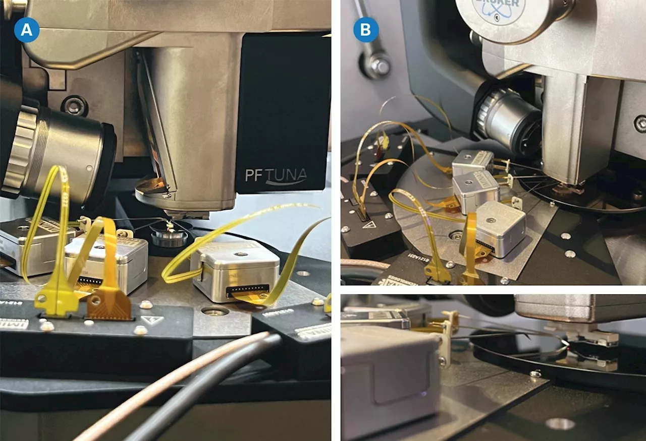 Studying Electrical Properties -and More- with AFM