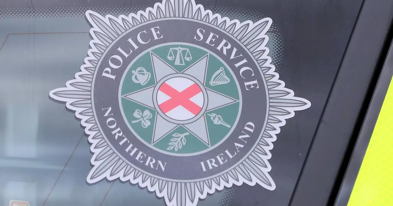 PSNI custody officer dismissed after assault on intoxicated man