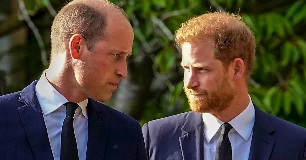 William und Harry treten bei Würdigung Dianas getrennt auf