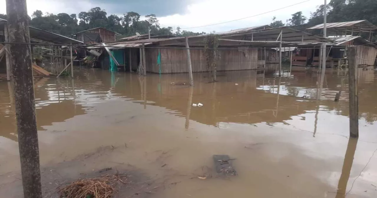 Alrededor de 3.000 familias afectadas por desbordamiento del río Baudó en Chocó