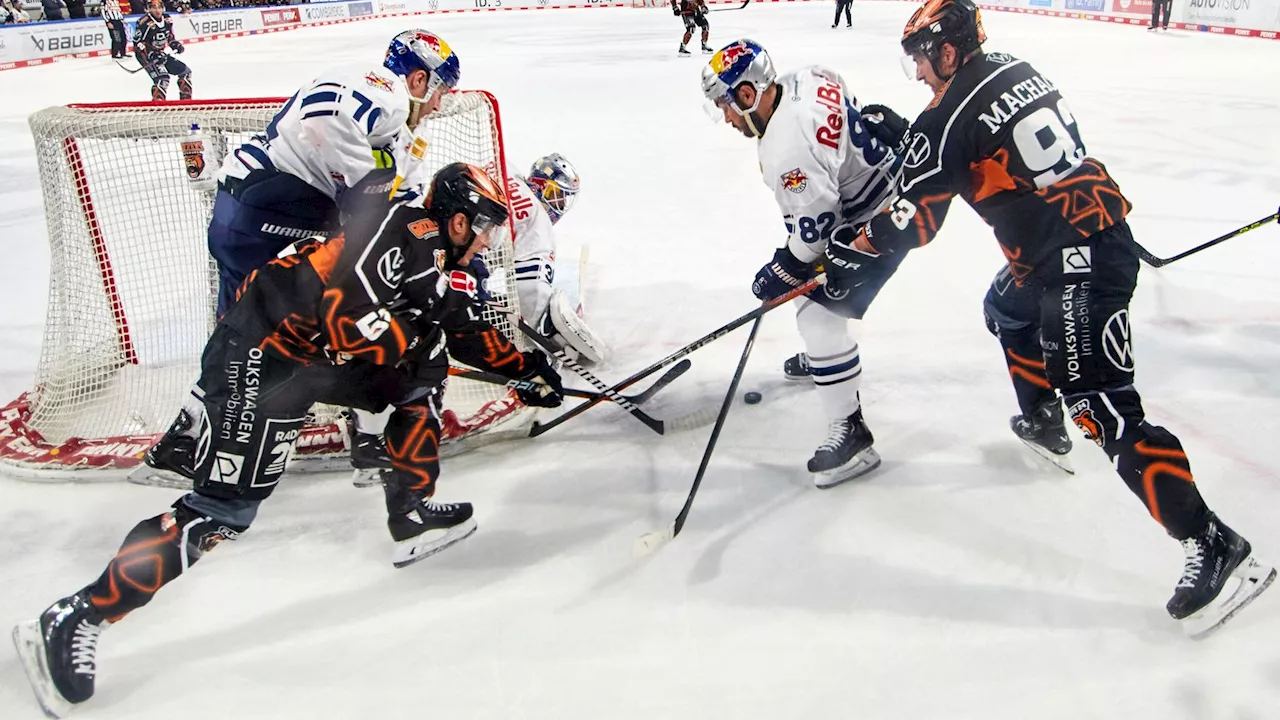 Play-offs: Grizzlys Wolfsburg - EHC Red Bull München