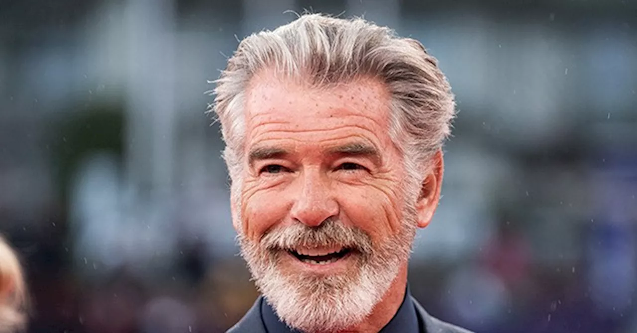 Pierce Brosnan Pleads Guilty to Yellowstone Park Offense