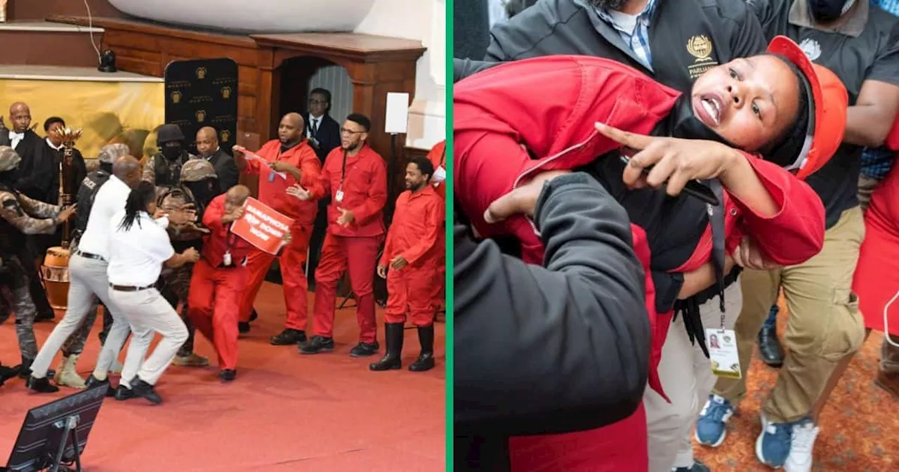 Parliamentary Committee Recommends EFF MPs Should Be Hit With Severe Penalties