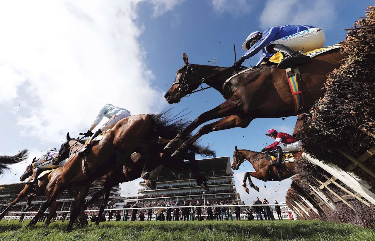 Johnny Ward: Cheltenham barely at the races as prize meeting falls flat