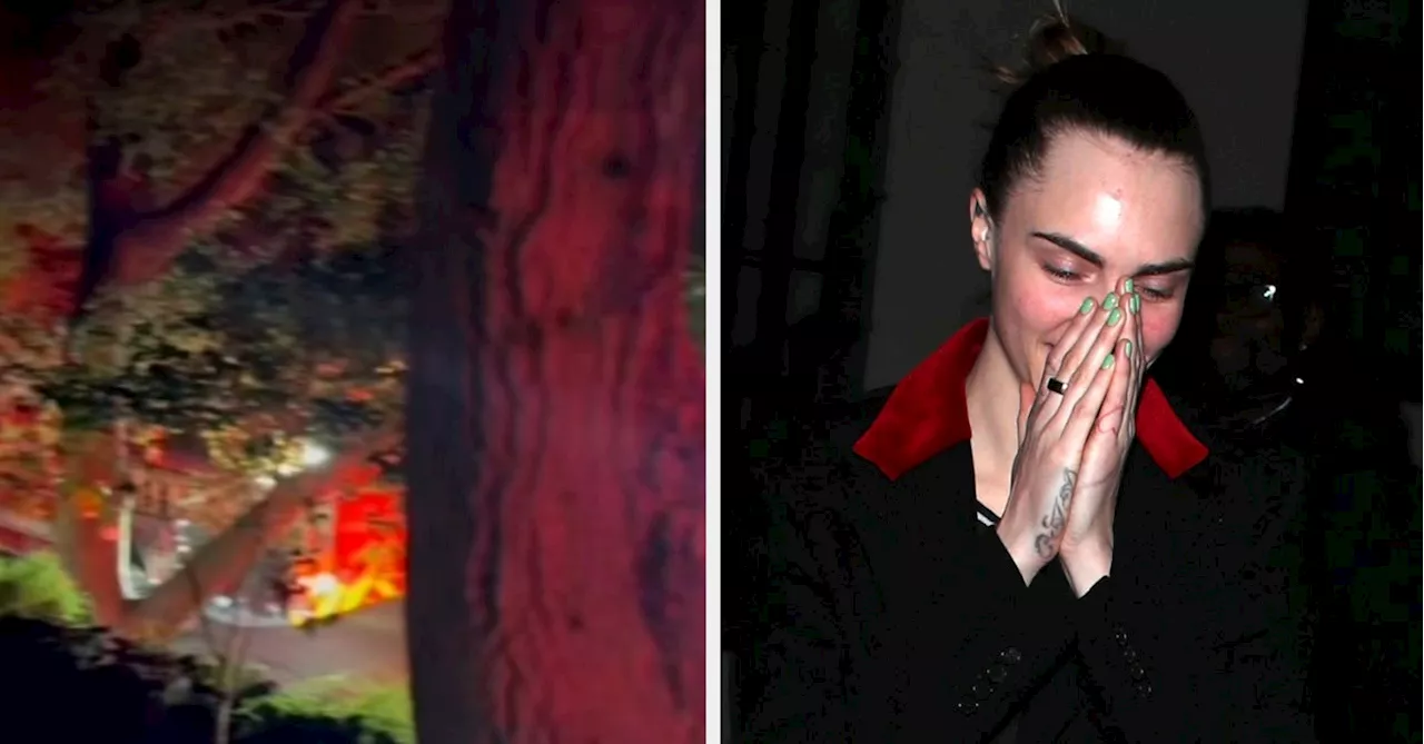 Cara Delevingne House Fire Cause Revealed By Parents | United States ...