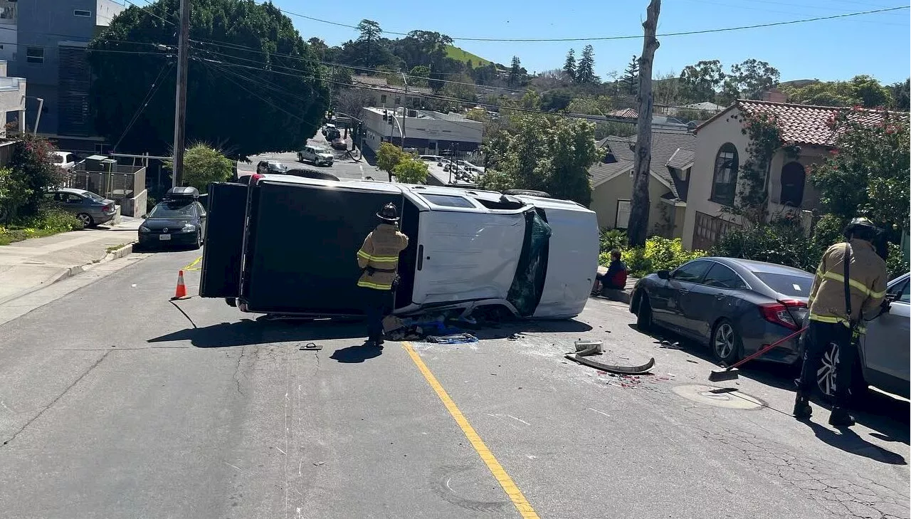 Puppy lost during rollover crash in San Luis Obispo