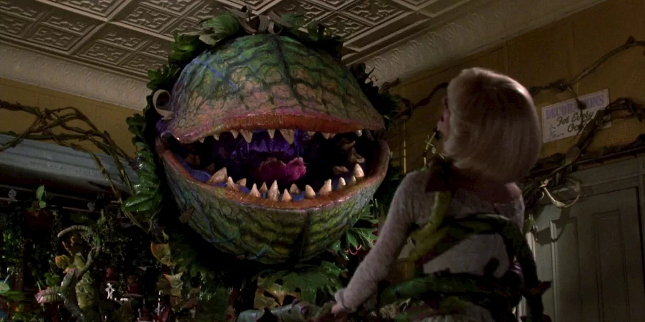 ‘Little Shop of Horrors’ Reboot Coming From Roger Corman