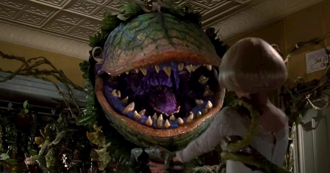 Gremlins’ Joe Dante to Direct Reimagining of Little Shop of Horrors, Roger Corman Producing