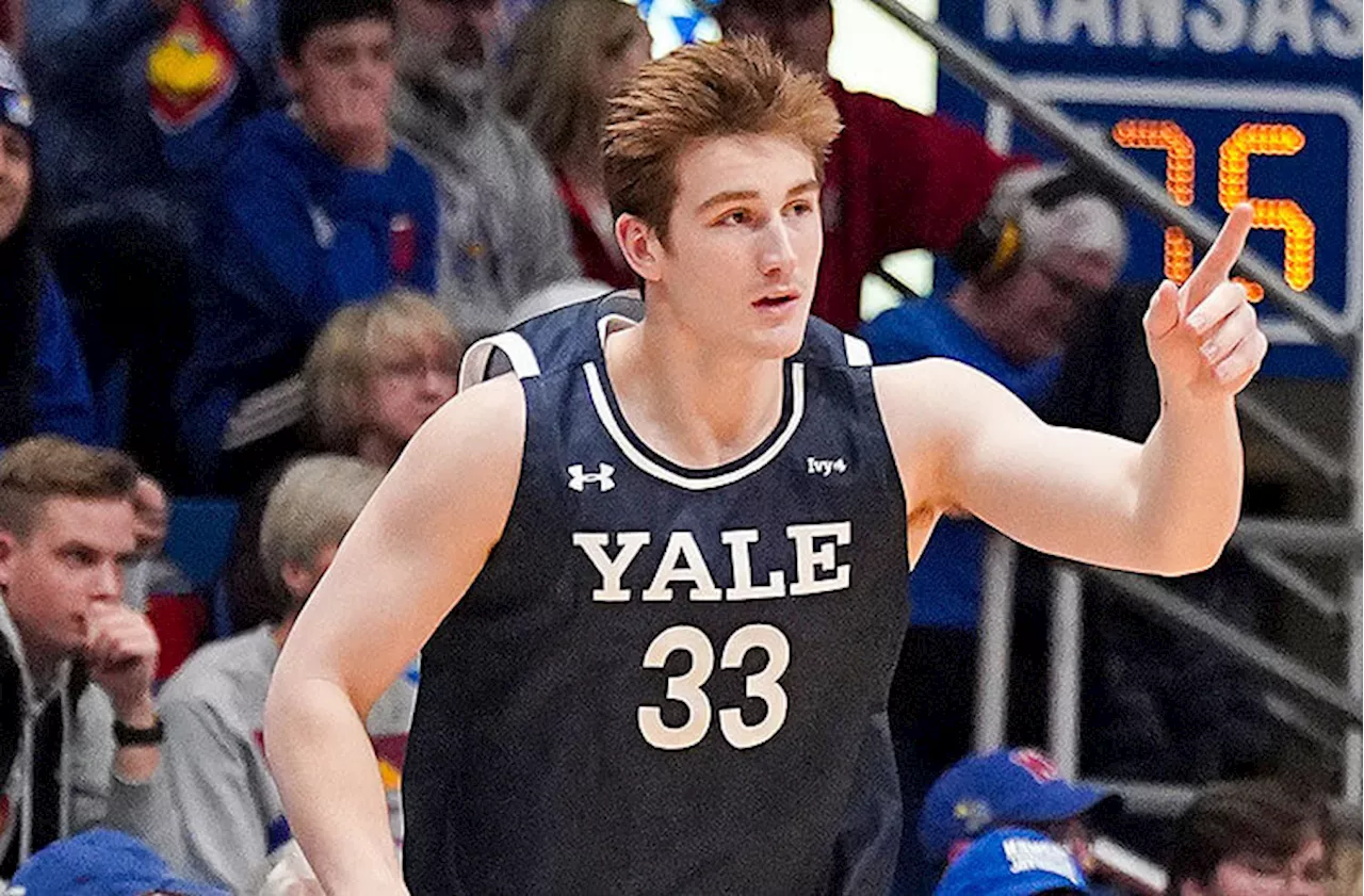 Brown vs Yale Predictions, Picks, and Odds: Bulldogs Set to Bludgeon in Ivy League Championship