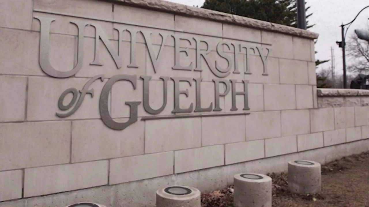 Alcohol recovery room at University of Guelph helps ease ER pressure, hospital says