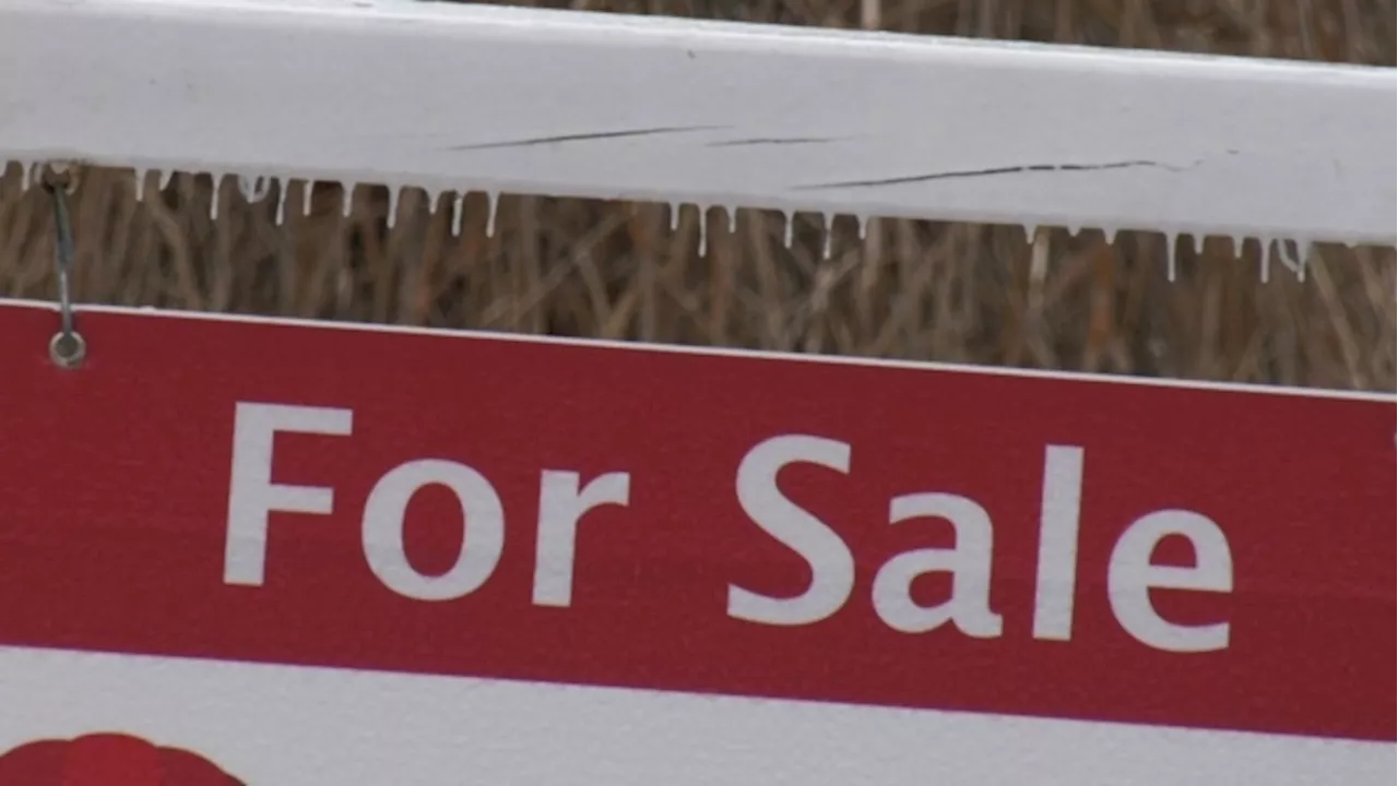 Canadian renters spend more of their income on housing costs compared with homeowners: RBC economist