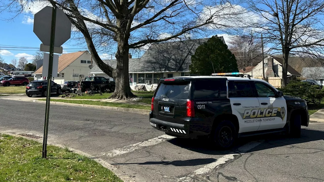 Suspect is barricaded in New Jersey home after killing 3 people in Philadelphia suburb: police