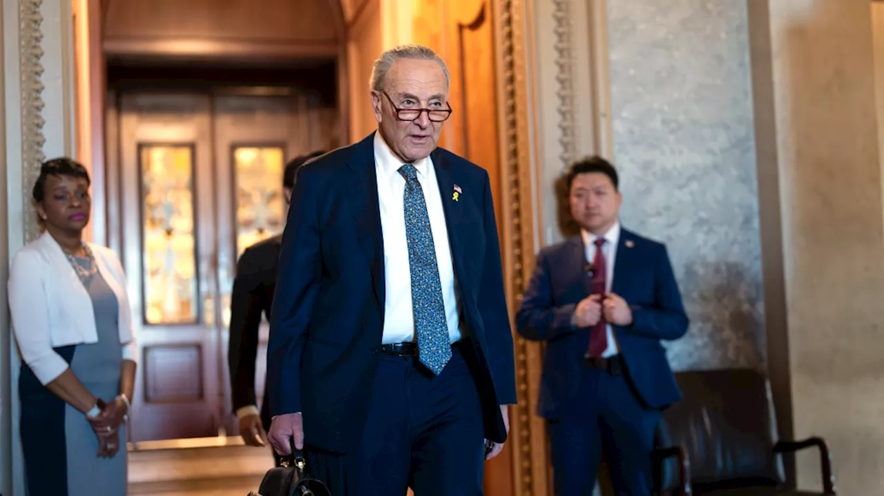 Schumer's rebuke of Netanyahu shows the long, fragile line the U.S. and allies walk on interference