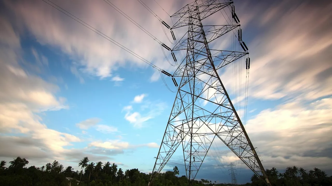 The 'drinking bird' makes a comeback and could power your gadgets with clean energy