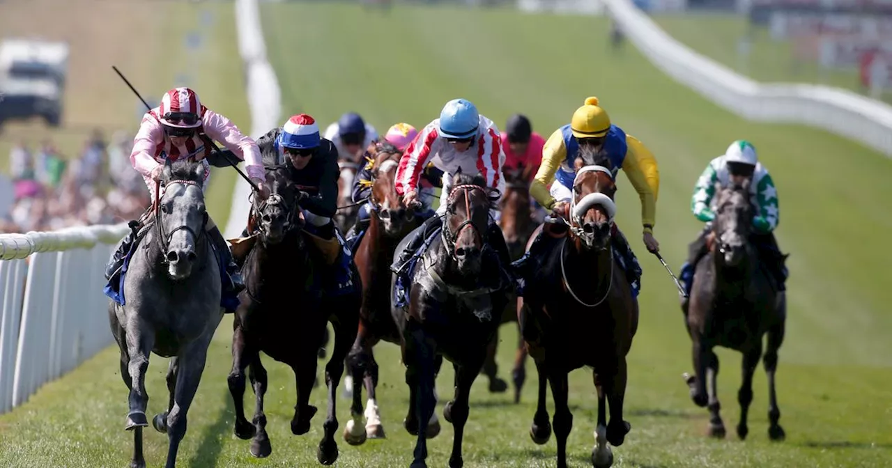 Claim a free pair of horse racing tickets for the Sky Bet Sunday Series 2024