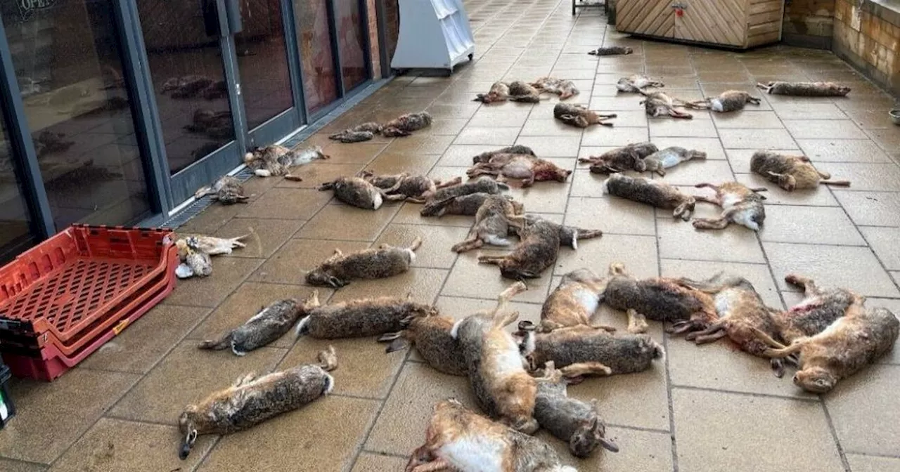 Dozens of dead animals dumped outside village shop leaving locals in shock