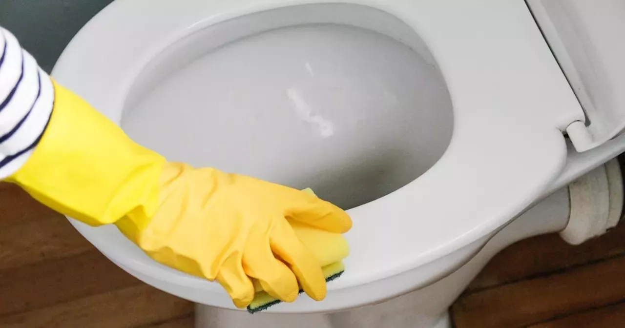 Mrs Hinch fans share three cheap ways to remove yellow stains from toilet seat