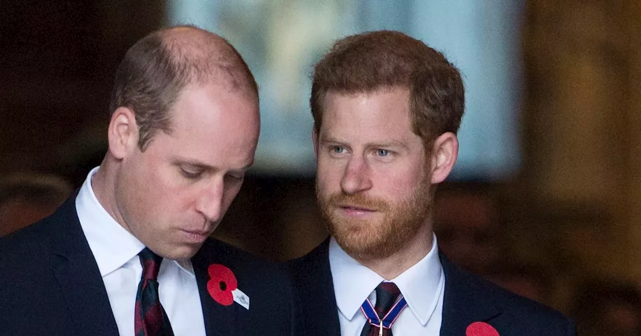 Prince William has 'had enough' of Harry who wanted to 'step in' to Royal crisis