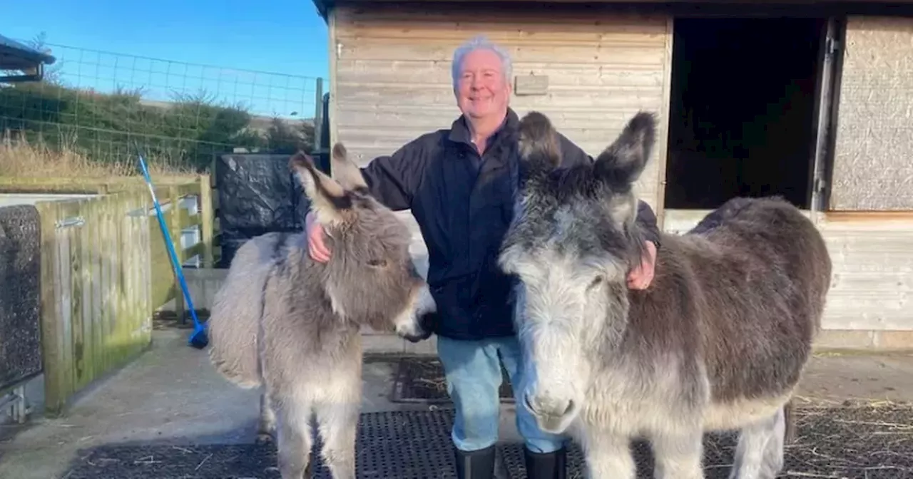 Scots donkey left traumatised by death of long-term companion meets new play pal