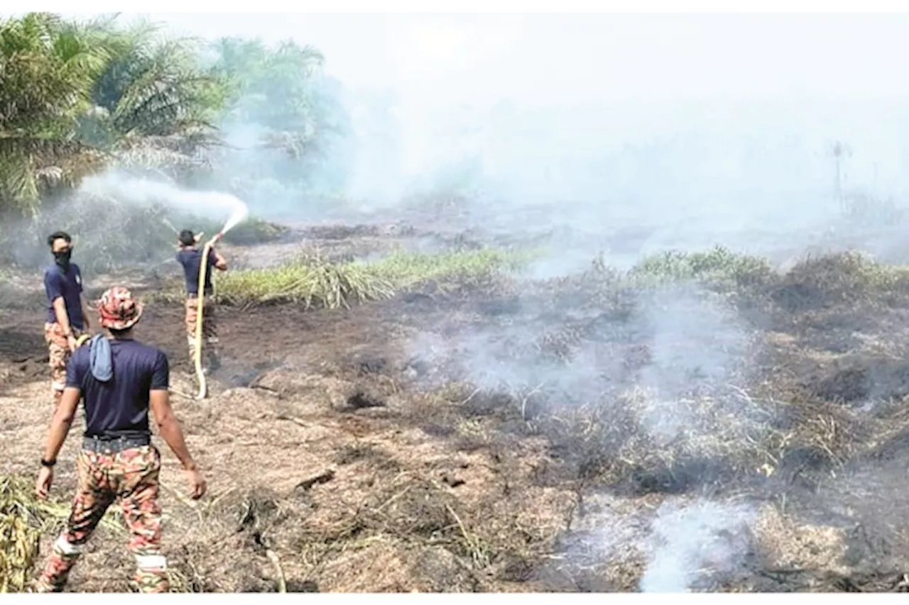 Tiga lagi kes kebakaran ladang di Beaufort