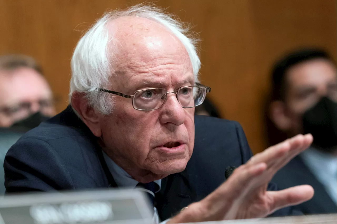 Bernie Sanders unveils his latest insane idea 