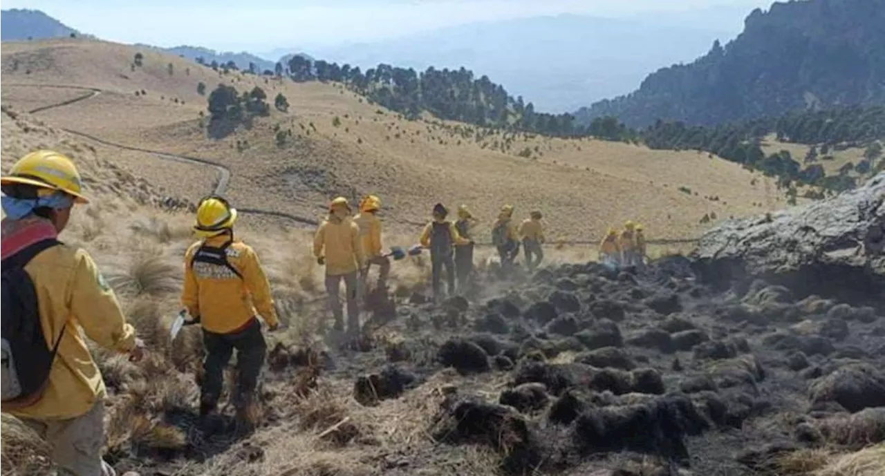 Incendio en Parque Nacional Izta-Popo consume 260 hectáreas; no se reportan personas lesionadas