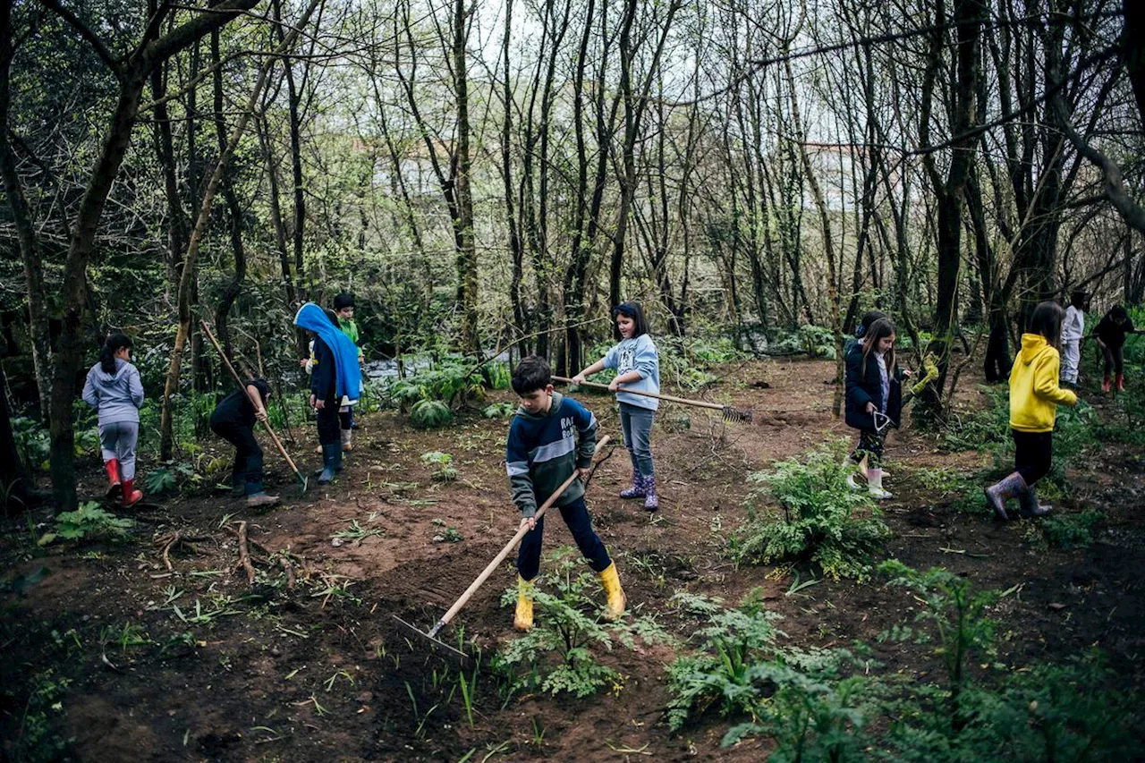 El Tins, primer río de España con derechos: “Cualquier daño por acción u omisión humana debe repararse”