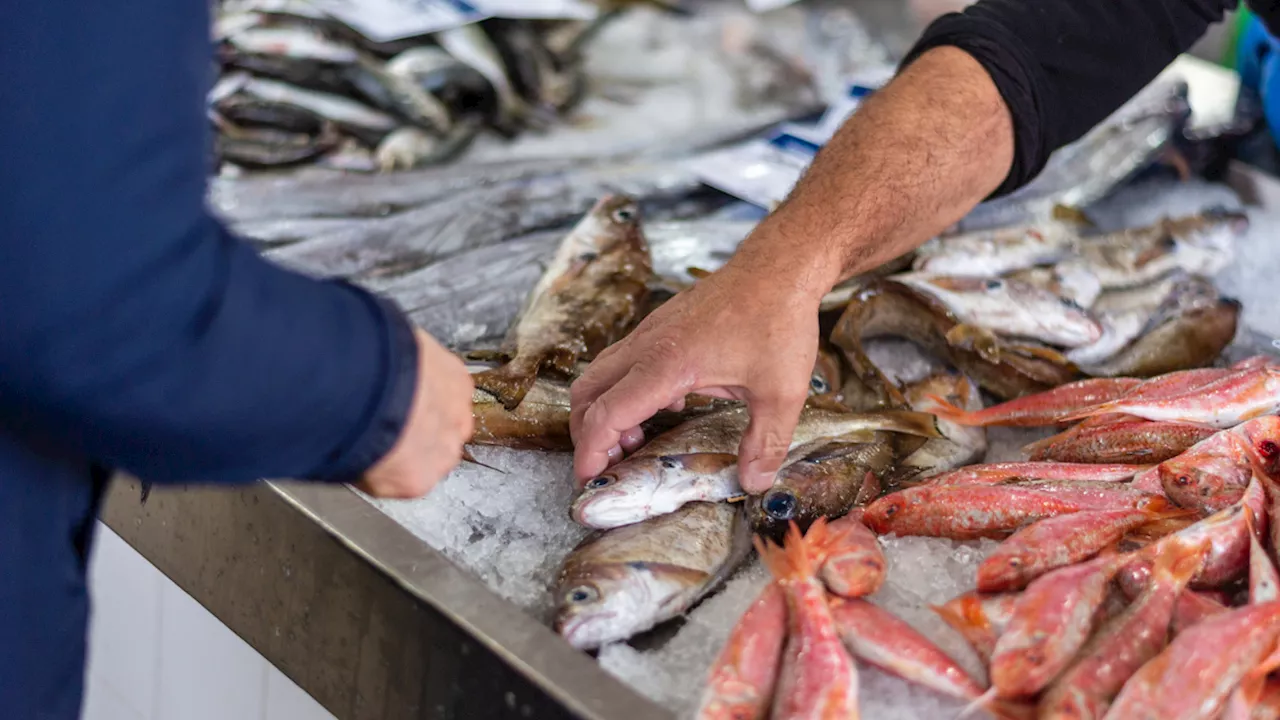 Así puede evitar intoxicaciones alimentarias por consumo de pescado en Semana Santa