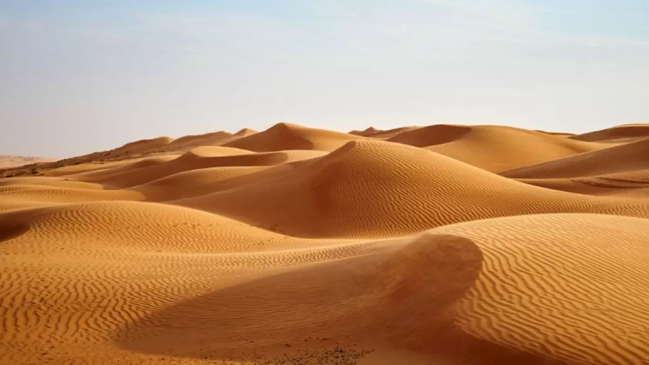 Científicos revelan secreto de la duna estelar del Sahara: mide 100 metros de altura