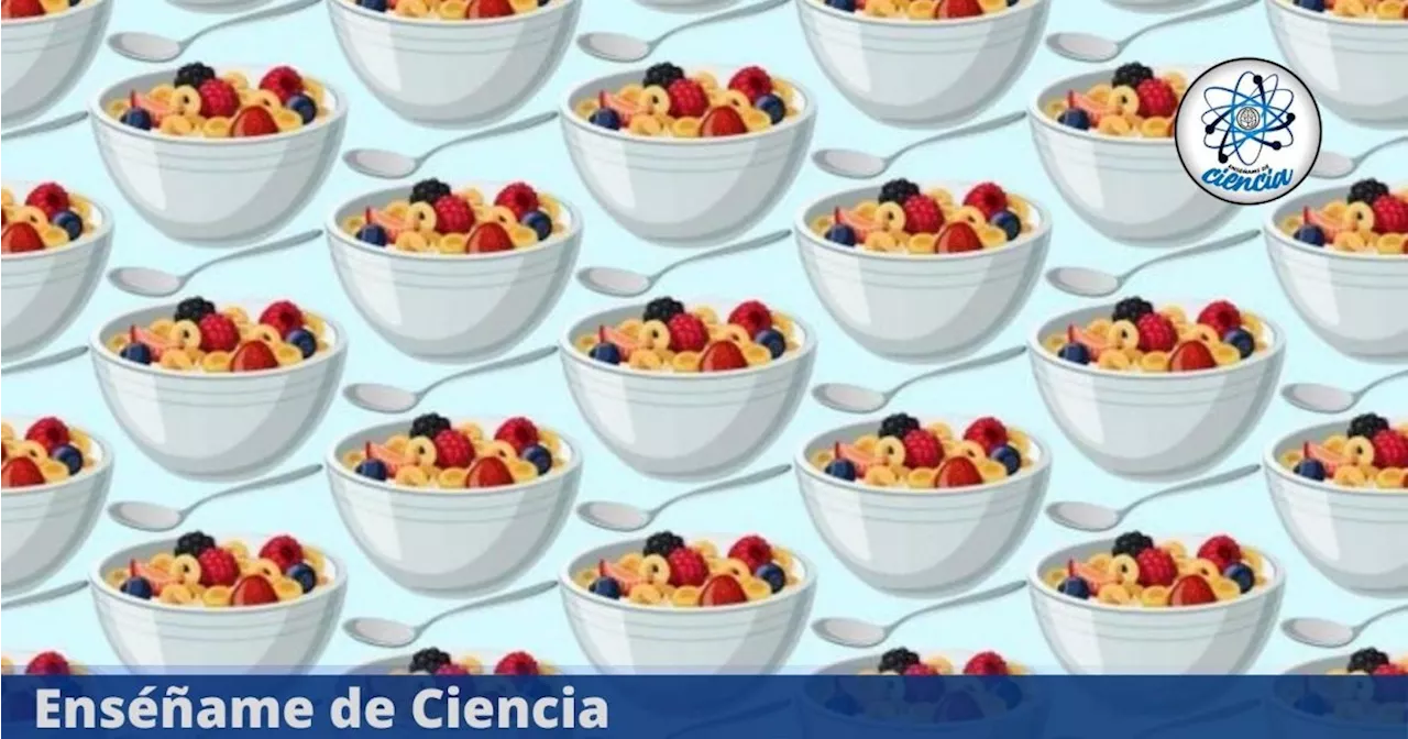 Acertijo visual de MÁXIMA DIFICULTAD ¿Puedes ver el plato de cereal DIFERENTE? Resuelve el enigma en menos de 6 segundos