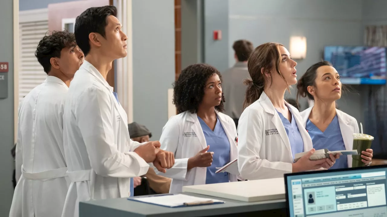 'Grey's Anatomy': The Interns Tease What's to Come in Season 20 (Exclusive)